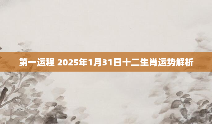 第一运程 2025年1月31日十二生肖运势解析