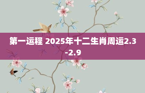 第一运程 2025年十二生肖周运2.3-2.9