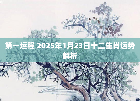 第一运程 2025年1月23日十二生肖运势解析