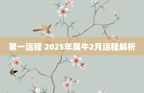 第一运程 2025年属牛2月运程解析