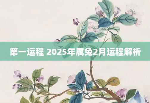第一运程 2025年属兔2月运程解析
