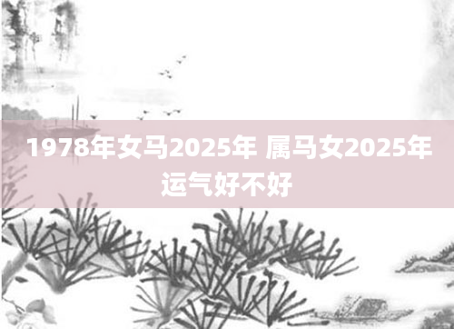 1978年女马2025年 属马女2025年运气好不好