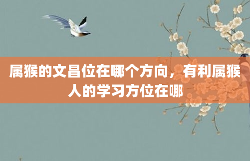 属猴的文昌位在哪个方向,有利属猴人的学习方位在哪