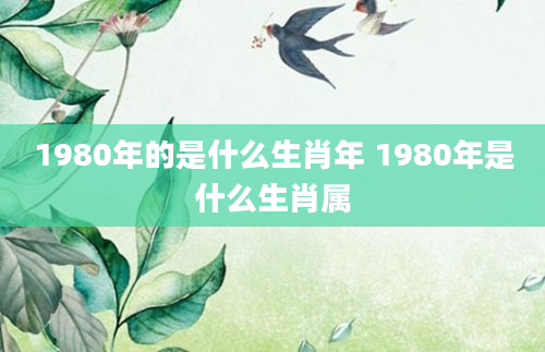1980年的是什么生肖年 1980年是什么生肖属