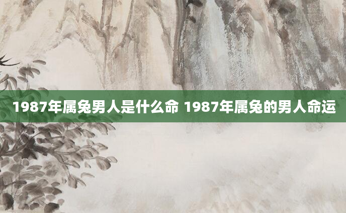 1987年属兔男人是什么命 1987年属兔的男人命运