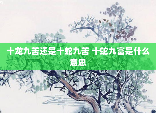 十龙九苦还是十蛇九苦 十蛇九富是什么意思
