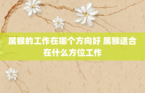 属猴的工作在哪个方向好 属猴适合在什么方位工作