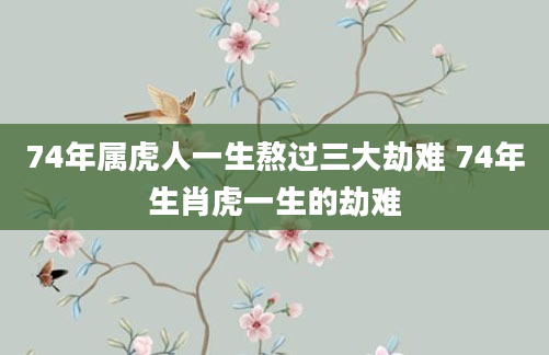 74年属虎人一生熬过三大劫难 74年生肖虎一生的劫难