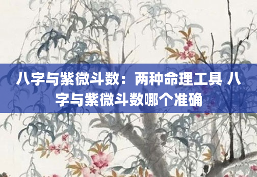 八字与紫微斗数：两种命理工具 八字与紫微斗数哪个准确