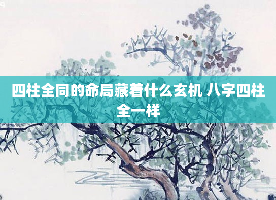 四柱全同的命局藏着什么玄机 八字四柱全一样