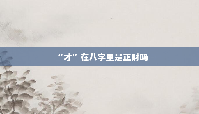 “才”在八字里是正财吗