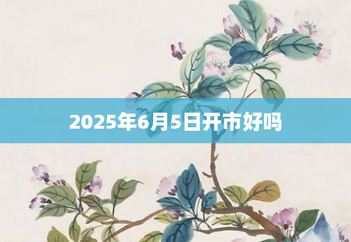 2025年6月5日开市好吗