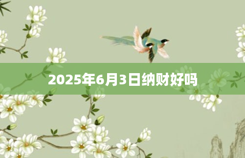 2025年6月3日纳财好吗