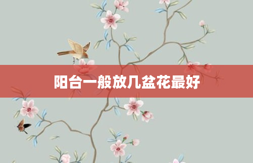阳台一般放几盆花最好