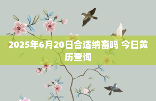 2025年6月20日合适纳畜吗 今日黄历查询