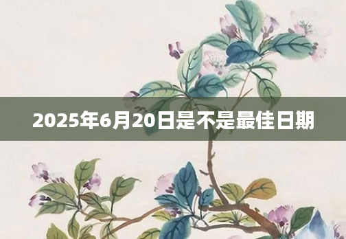 2025年6月20日是不是最佳日期
