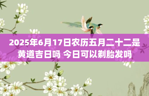 2025年6月17日农历五月二十二是黄道吉日吗 今日可以剃胎发吗