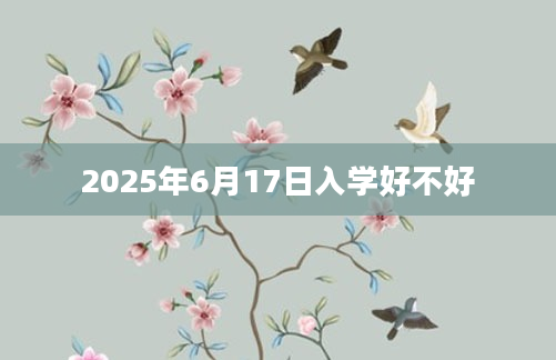 2025年6月17日入学好不好