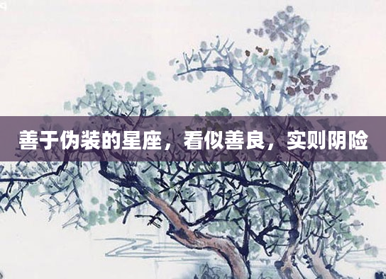 善于伪装的星座，看似善良，实则阴险