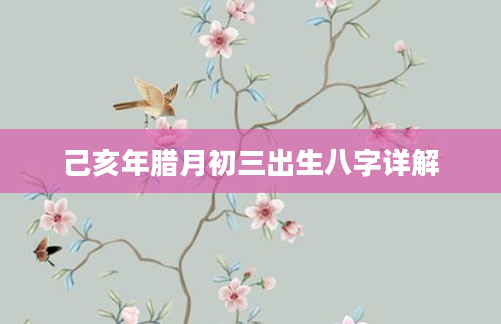 己亥年腊月初三出生八字详解