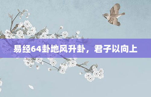 易经64卦地风升卦，君子以向上