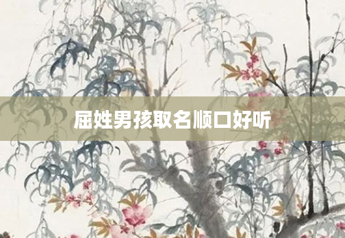 屈姓男孩取名顺口好听