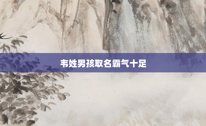 韦姓男孩取名霸气十足