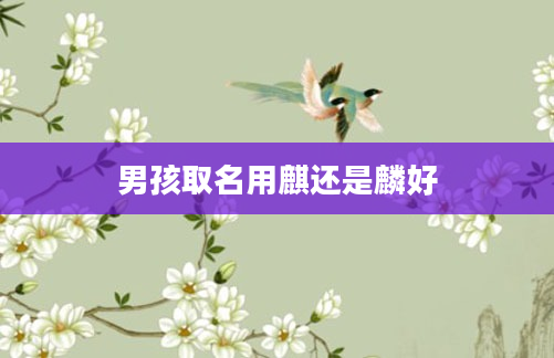 男孩取名用麒还是麟好