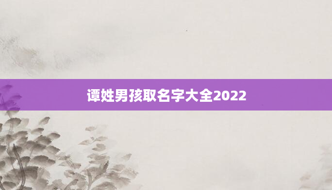 谭姓男孩取名字大全2022
