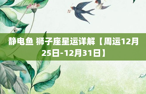 静电鱼 狮子座星运详解【周运12月25日-12月31日】