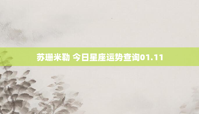 苏珊米勒 今日星座运势查询01.11