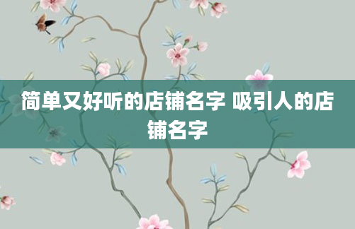 简单又好听的店铺名字 吸引人的店铺名字