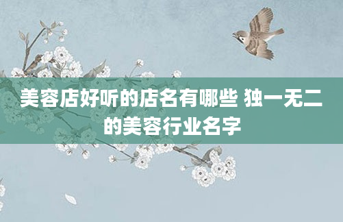 美容店好听的店名有哪些 独一无二的美容行业名字