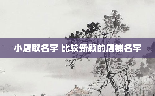 小店取名字 比较新颖的店铺名字