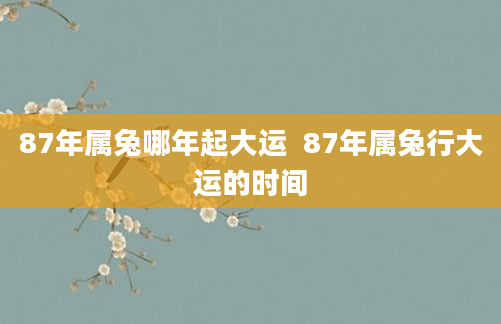 87年属兔哪年起大运 87年属兔行大运的时间