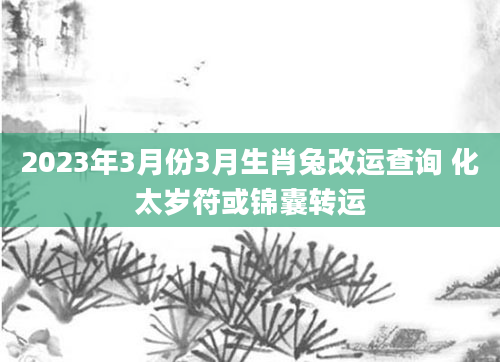 2023年3月份3月生肖兔改运查询 化太岁符或锦囊转运