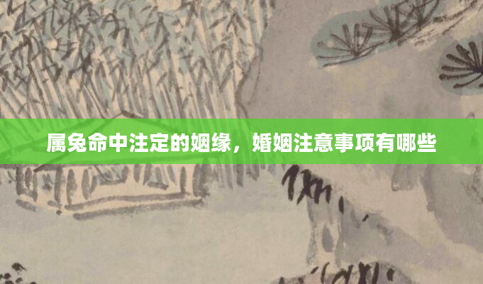 属兔命中注定的姻缘,婚姻注意事项有哪些