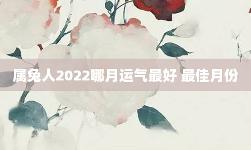 属兔人2022哪月运气最好 最佳月份