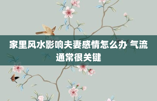 家里风水影响夫妻感情怎么办 气流通常很关键