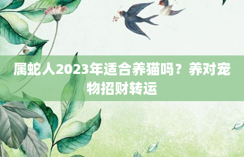 属蛇人2023年适合养猫吗?养对宠物招财转运