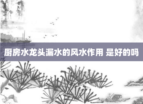 厨房水龙头漏水的风水作用 是好的吗