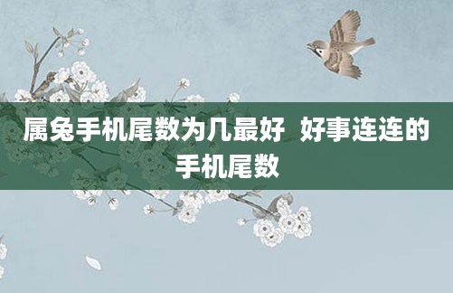 属兔手机尾数为几最好 好事连连的手机尾数