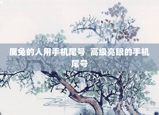 属兔的人用手机尾号 高级亮眼的手机尾号