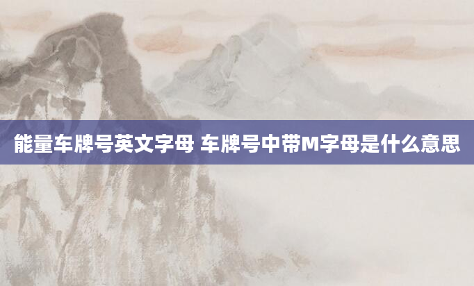 能量车牌号英文字母 车牌号中带M字母是什么意思