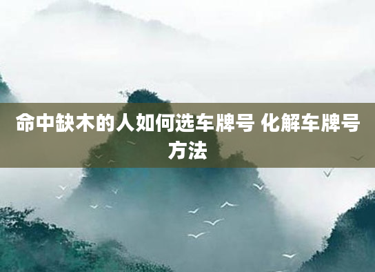 命中缺木的人如何选车牌号 化解车牌号方法