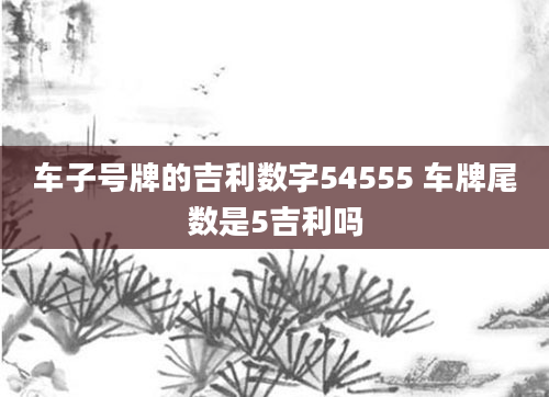 车子号牌的吉利数字54555 车牌尾数是5吉利吗