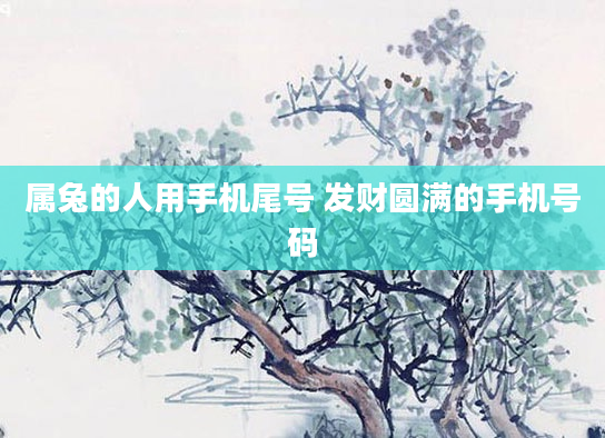 属兔的人用手机尾号 发财圆满的手机号码