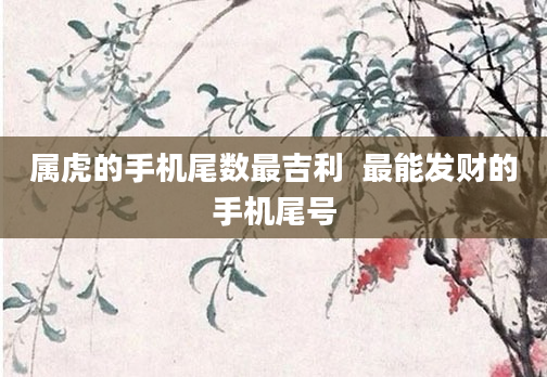 属虎的手机尾数最吉利 最能发财的手机尾号