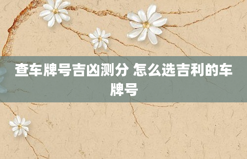 查车牌号吉凶测分 怎么选吉利的车牌号