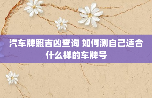 汽车牌照吉凶查询 如何测自己适合什么样的车牌号